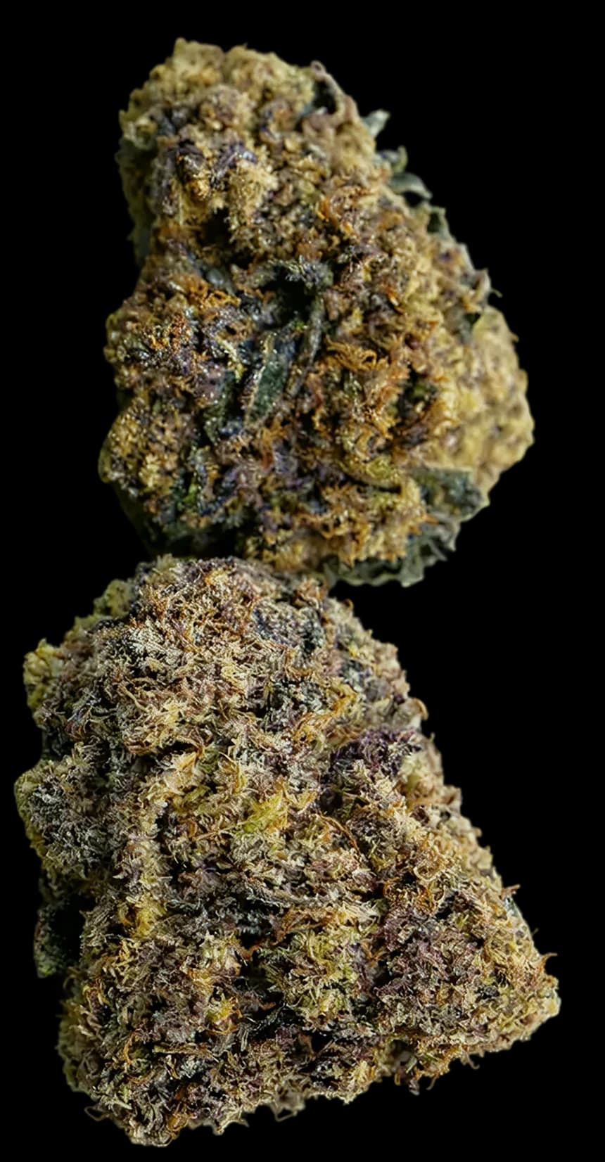 Ice Cream Cake (Indica Dominant Hybrid)